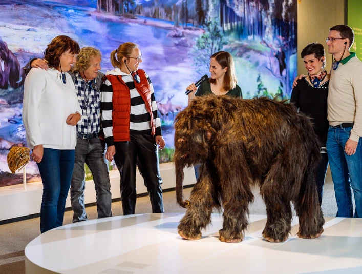 Mettmann'daki Neandertal Müzesi turu sırasında yavru mamut Tinka'nın tanıtımı Rehber eşliğinde, Mettmann Neandertal Müzesi'nde bebek mamut maketi önünde grup turu.