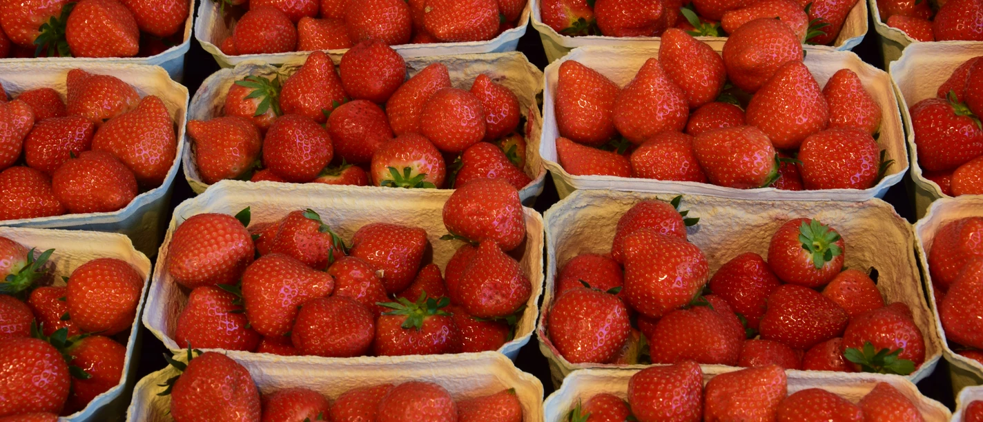 strawberries Fresh, bright red strawberries arranged in small cardboard baskets on a market stall.