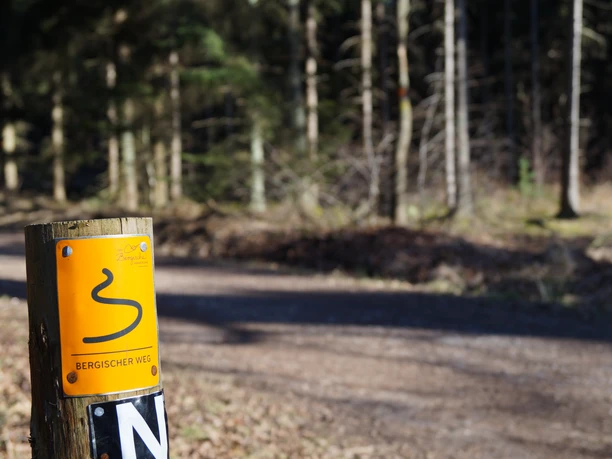 bergweg Wegwijzer naar de Bergischer Weg, met op de achtergrond een rustig bospad en zonovergoten bomen.