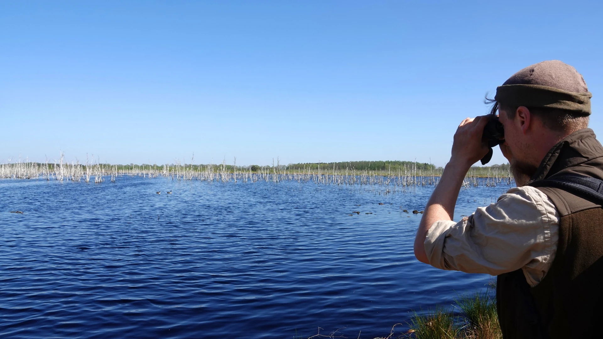 Person mit Fernglas am Ufer des Theikenmeers, blickt über stilles Wasser mit toten Bäumen und Enten.