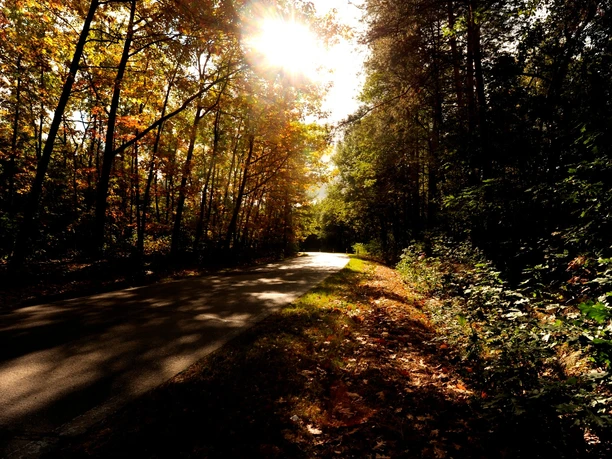 Piste cyclable Dahlener Heide en automne