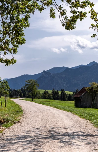 Gravel path through meadows of the Ammergau Alps