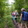 Bergische Wanderwoche A group of people hiking on a narrow, green forest path with trees and dense foliage.