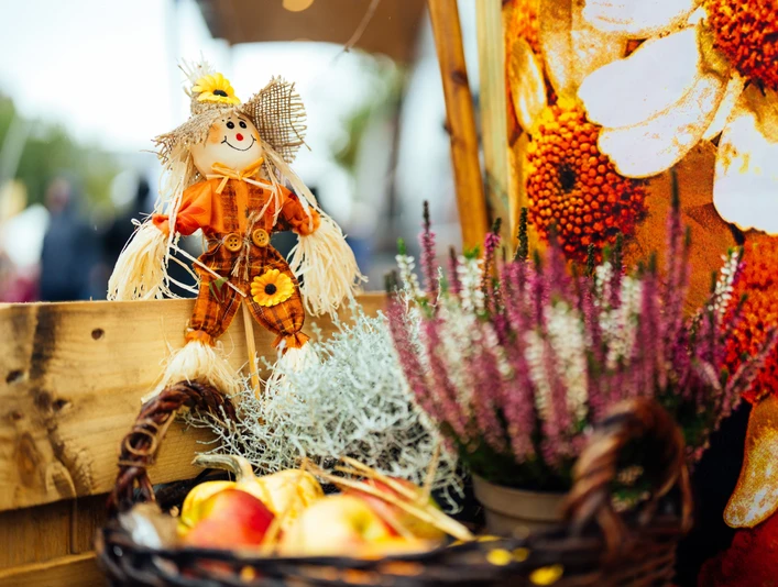 Rynek św. Marcina w Monheim Słomiana lalka ubrana w kolorowe jesienne ubranie stoi obok kosza pełnego jabłek i wrzosu.