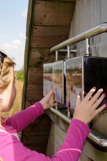Natuurpad "Heidelandschap creëren – Beleef de hernatting" in het provinciale heidelandschap bij Twist ©Naturpark Moor-Veenland (49).jpg