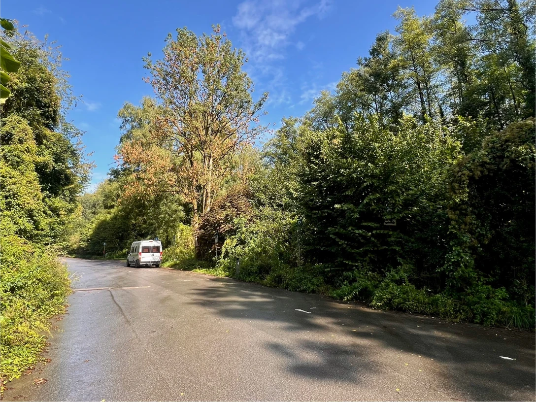 Haan-Gruiten'deki taş ocağındaki karavan parkı Haan-Gruiten'de ağaçlarla çevrili bir sokakta karavan park yeri.