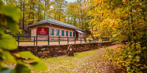 Der Wald auf dem Rochlitzer Berg rund um das Geoportal Porphyrhaus ist herbstbunt gefärbt.