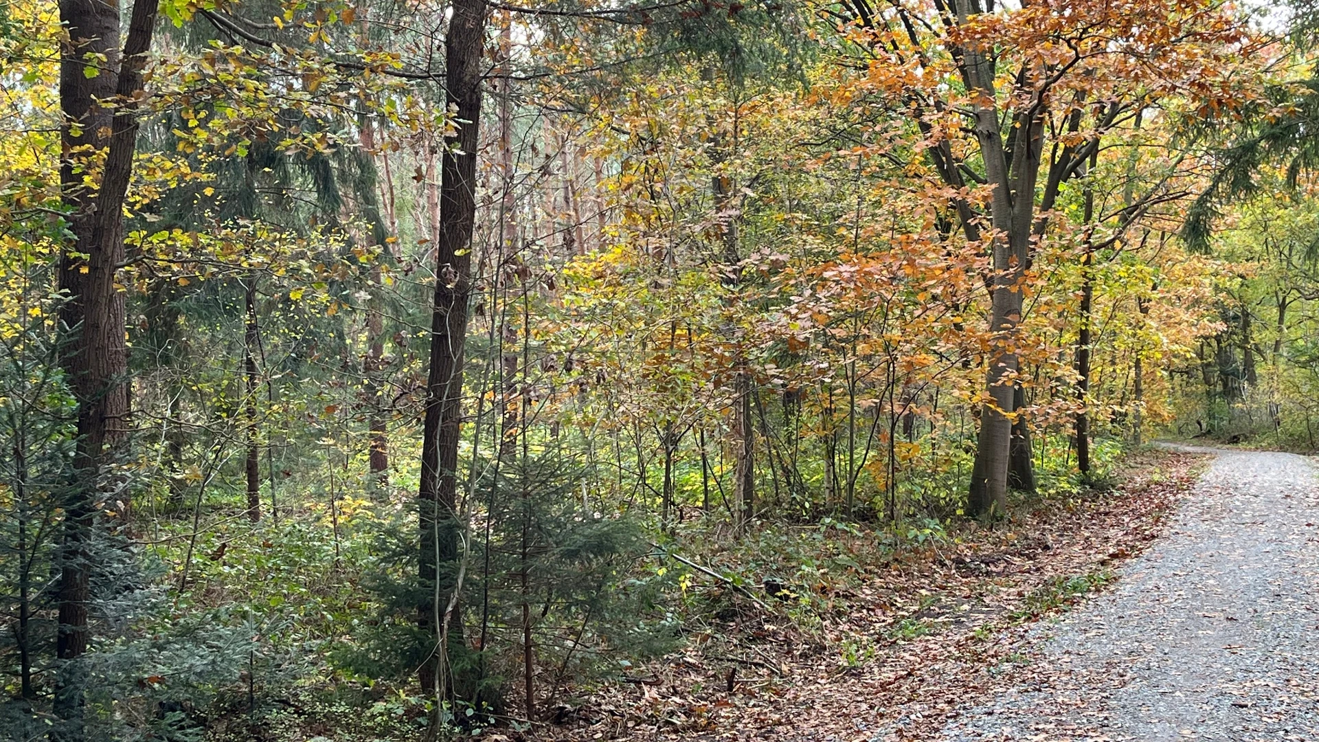 Rundwanderweg "Twölf Jück"