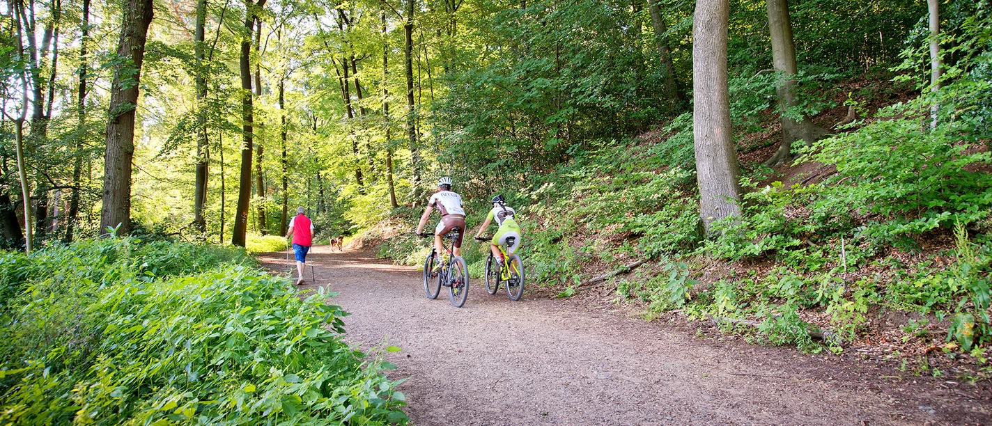 Romanesque Forest Hotel Mangold