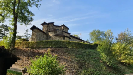 Hatzfeld (Eder) Castle Ruins You can see the castle ruins on a hill, surrounded by a hedge.
