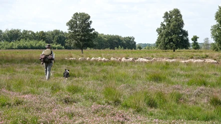 14_Dierlandschapsbeheerders_©NaturparkMoorVeenland_Barbara_van_den_Ham.JPG