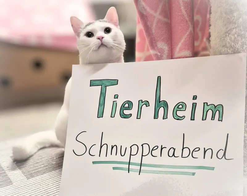 Tierheim-Schnupperabend für Erwachsene