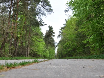 WTM004_Onverwoestbare weg_DSC_0536.JPG