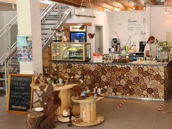 House of Butterflies_Cafe house-of-butterflies-cafe