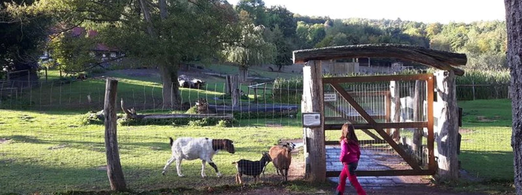 Hardegsen Wildlife Park Hardegsen Wildlife Park