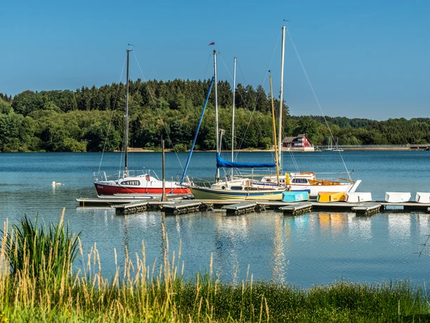 Boats are moored at a busy jetty, surrounded by forest and reflecting water on a sunny day.