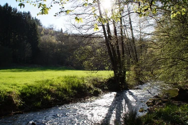 Black Powder Route Odenthal An idyllic stream flows through a green meadow, lined with trees bathed in sunlight.