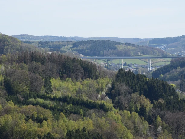 View from the Haldy Tower View of a green hilly landscape with trees and a bridge spanning the valley.