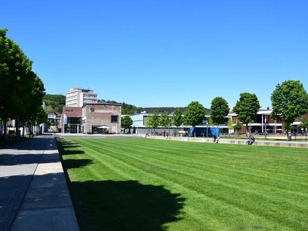 Steinmüller site Expansive green lawn, flanked by trees, with modern buildings in the background against a blue sky.