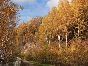 Autumn walk along pit 7 near Haan-Gruiten Colorful autumn forest with path and blue sky near Grube 7 in Haan-Gruiten.
