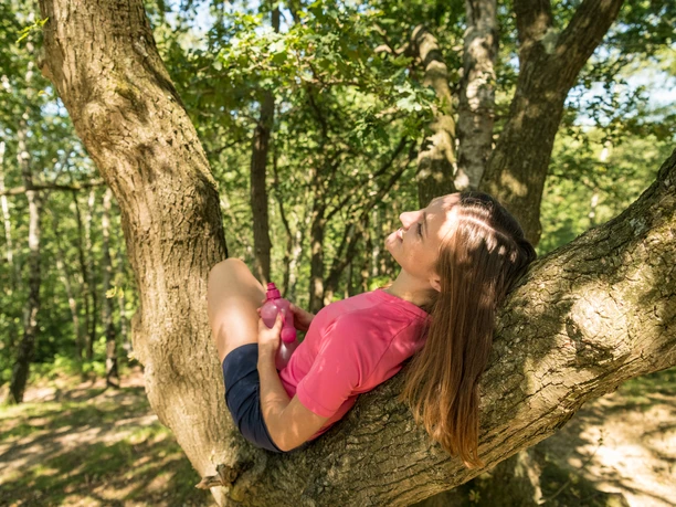 Ontspanning bij neanderland STEIG Vrouw in roze shirt rust met gesloten ogen in een grote boom, omringd door dicht bos.