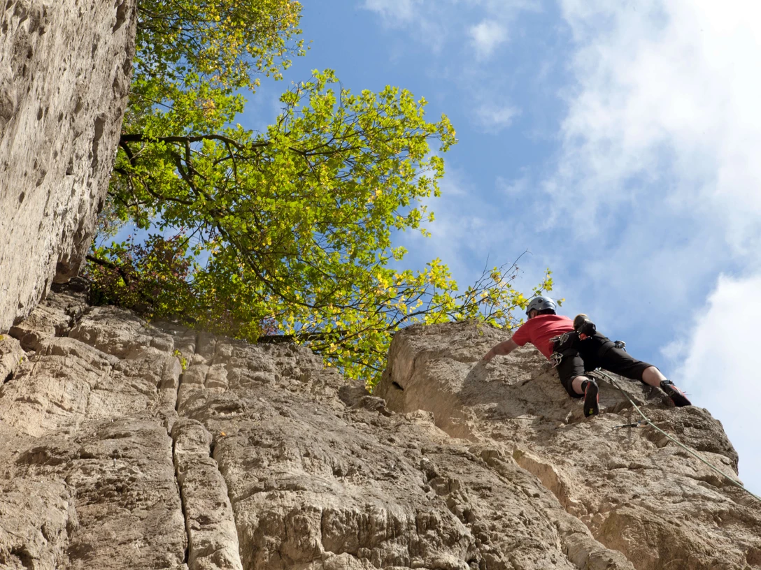 Escalade dans le Bochumer Bruch à Wülfrath Un grimpeur escalade la paroi rocheuse abrupte du Bochumer Bruch à Wülfrath sous un ciel clair.