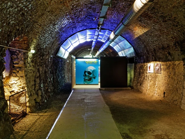 Wülfrath zaman tüneli Kemerli taş bir evin ve kafatası motifli ışıklı bir posterin bulunduğu aydınlatılmış tünel.