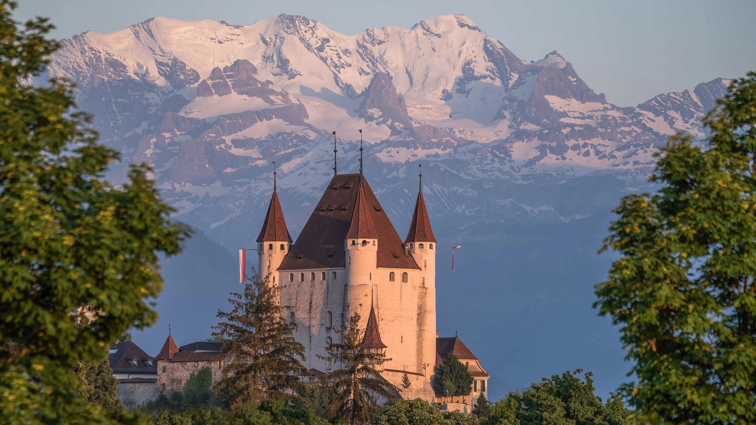 Schlossf hrung Im Schloss Thun schlossf-hrung-im-schloss-thun