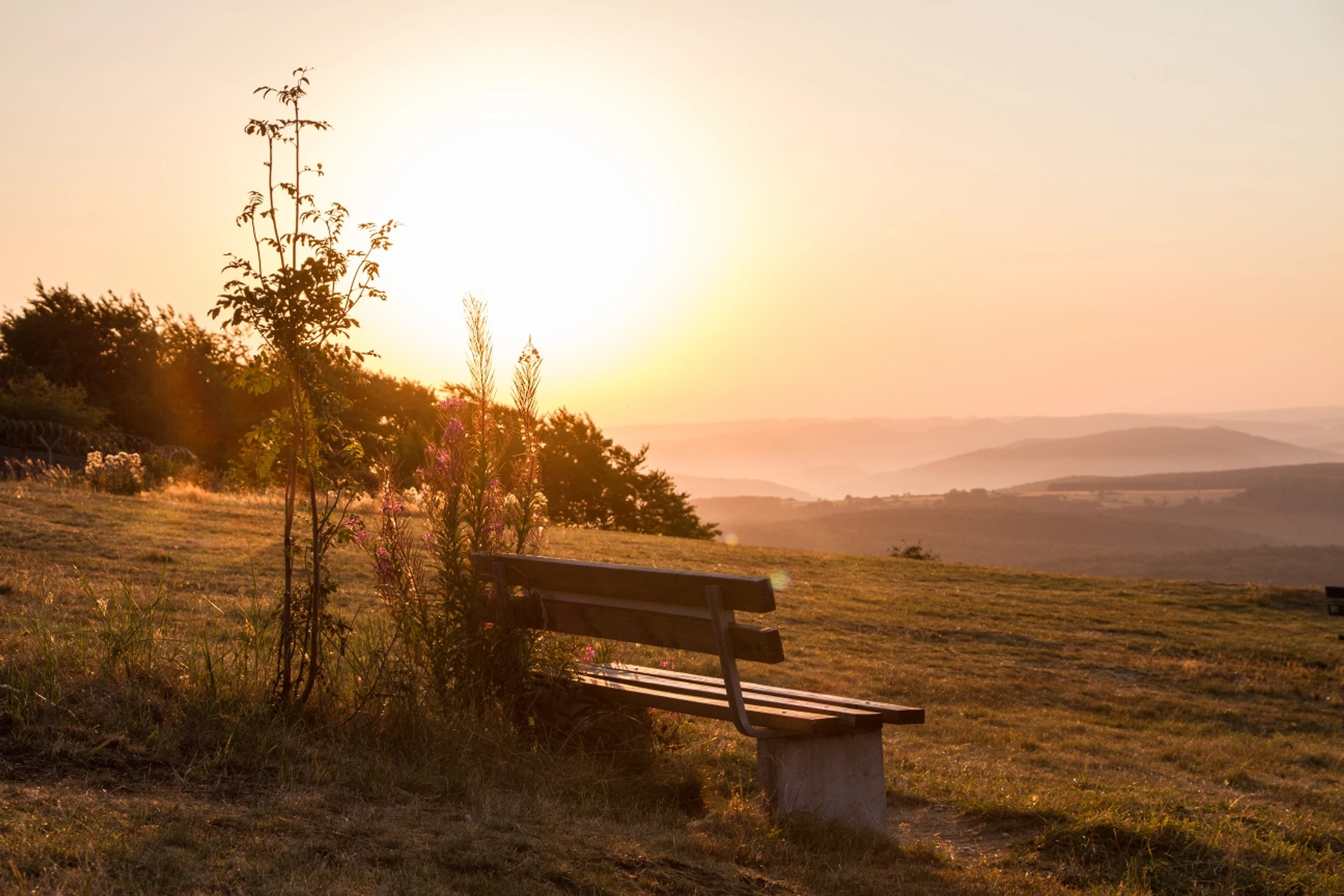 Panoramasicht Köterberg