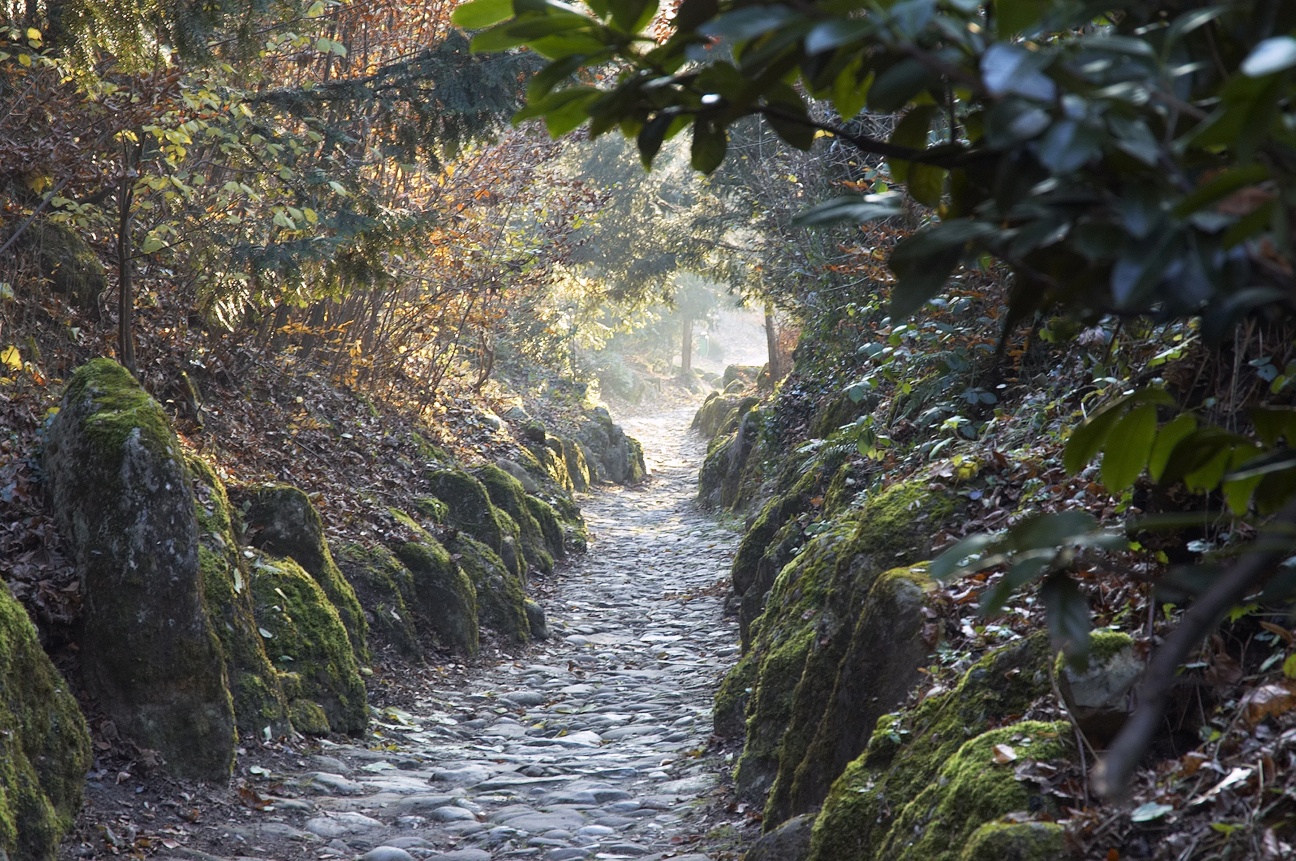 Hohle Gasse hohle-gasse